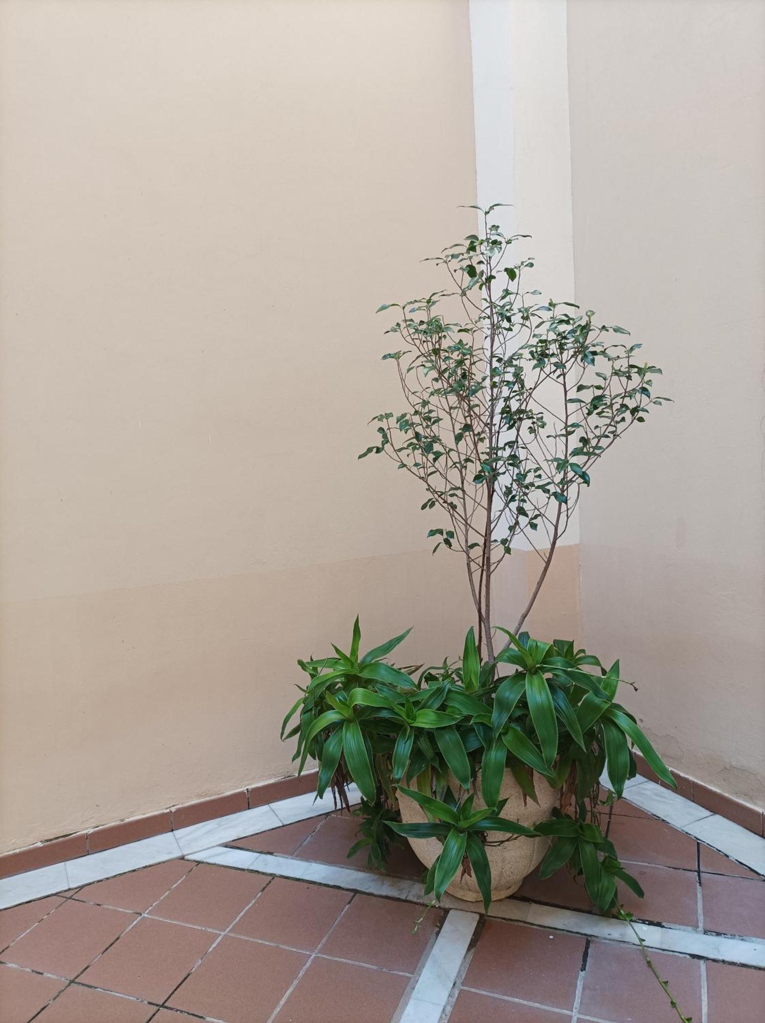 De Lux Appartamento Siviglia